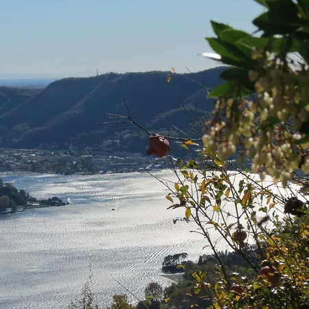 Volare...oh...oh Appartamento